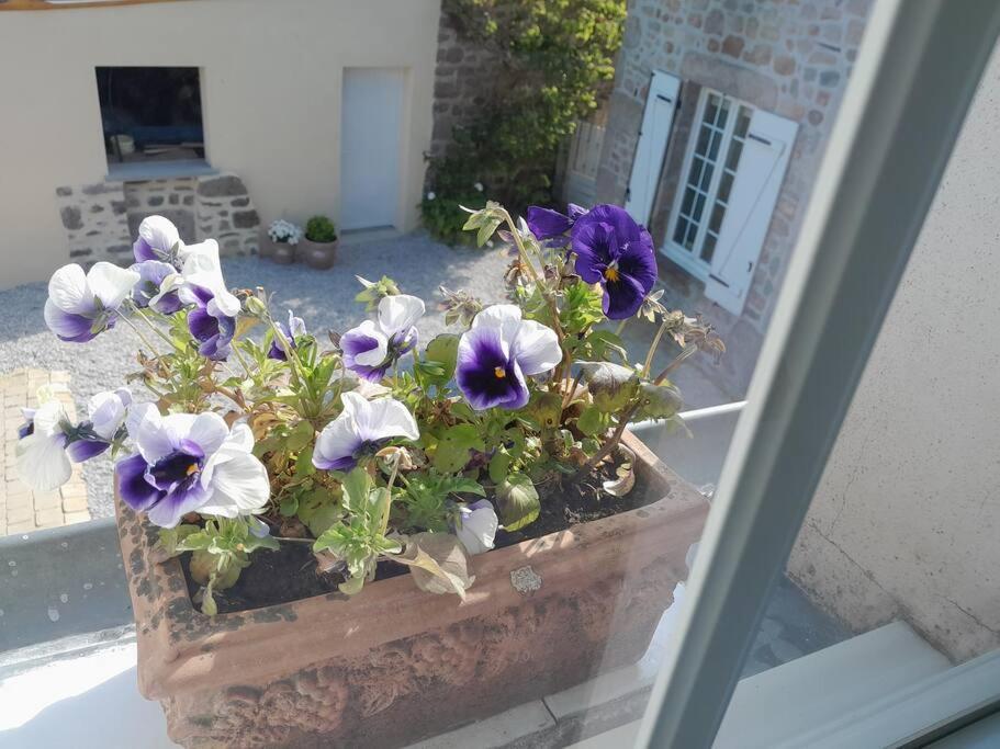 Gite Tante Jeanne Reville ภายนอก รูปภาพ