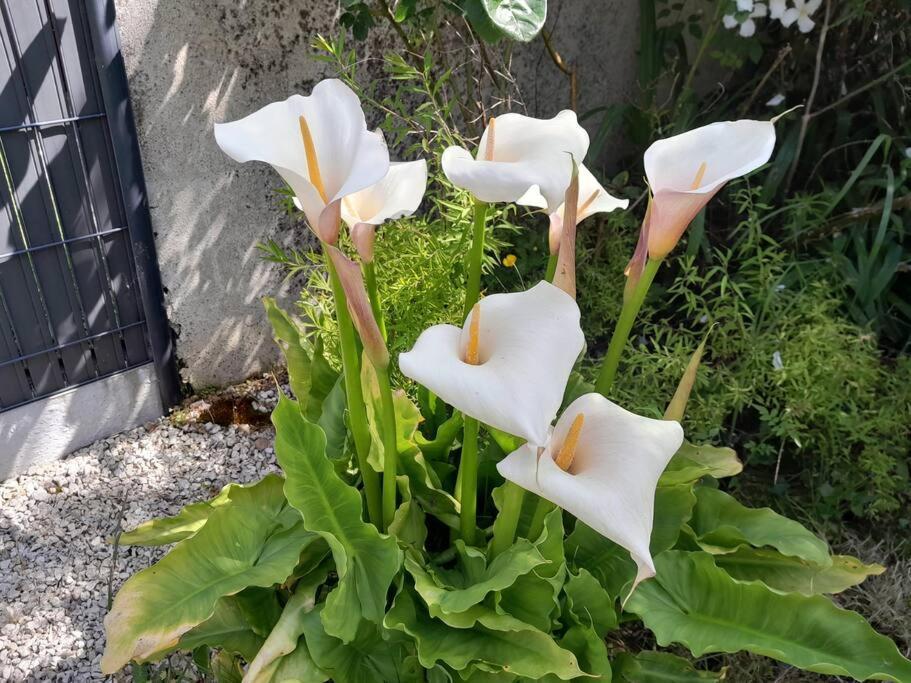 Gite Tante Jeanne Reville ภายนอก รูปภาพ
